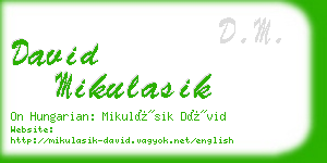 david mikulasik business card